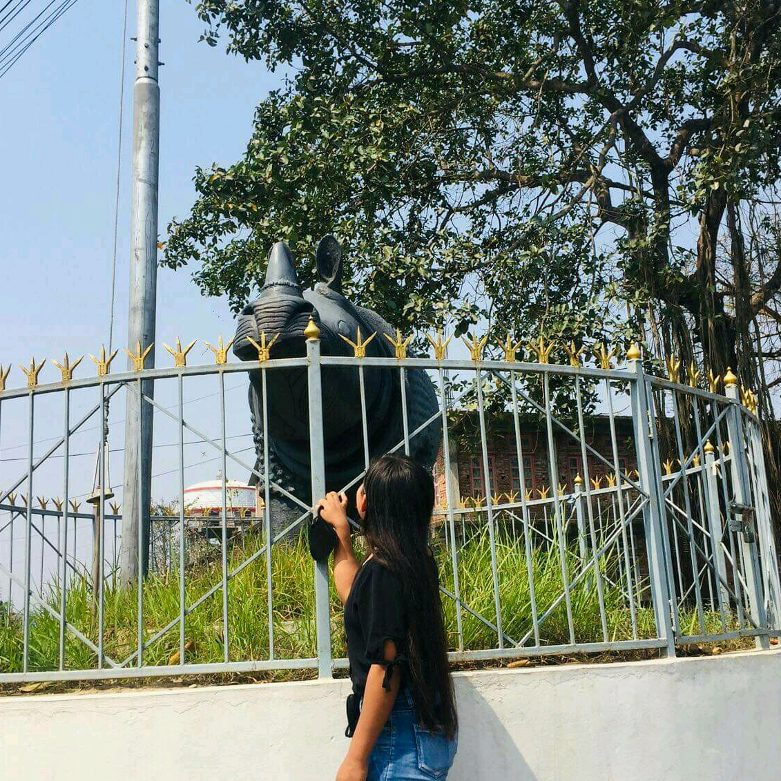 Bipu🌻 bipanarana2424