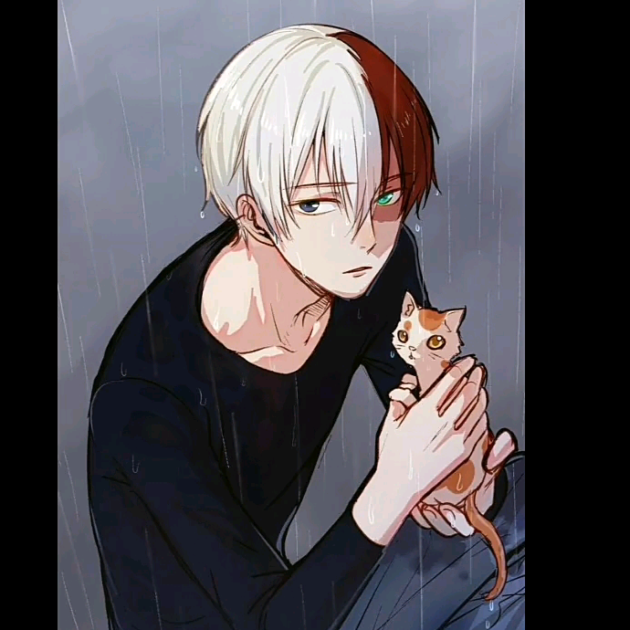 todoroki linglangpogi