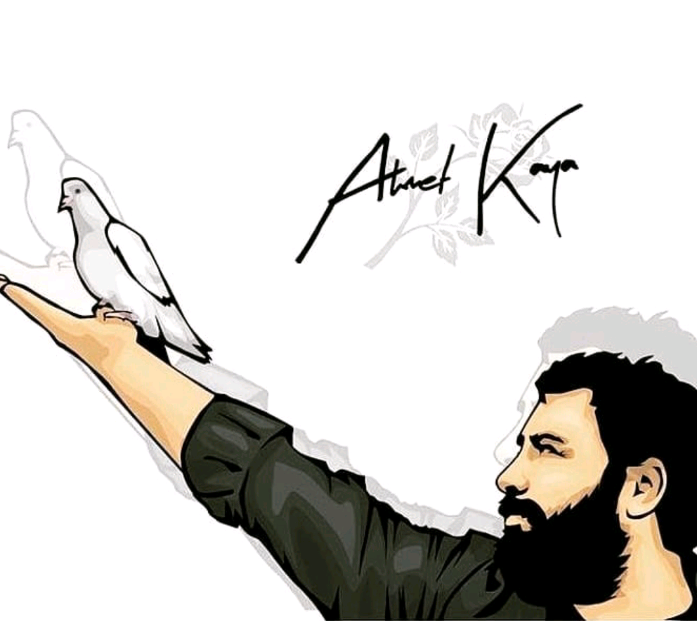✌️K✌️O✌️Ç✌️E✌️R✌️O✌️ mahmutgokcur1313