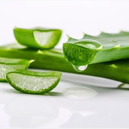 Aloe aloeone