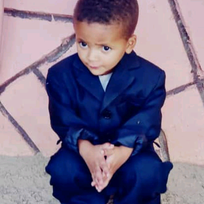 محمد عزالدين الشكري mohamedezzeldinalshukri