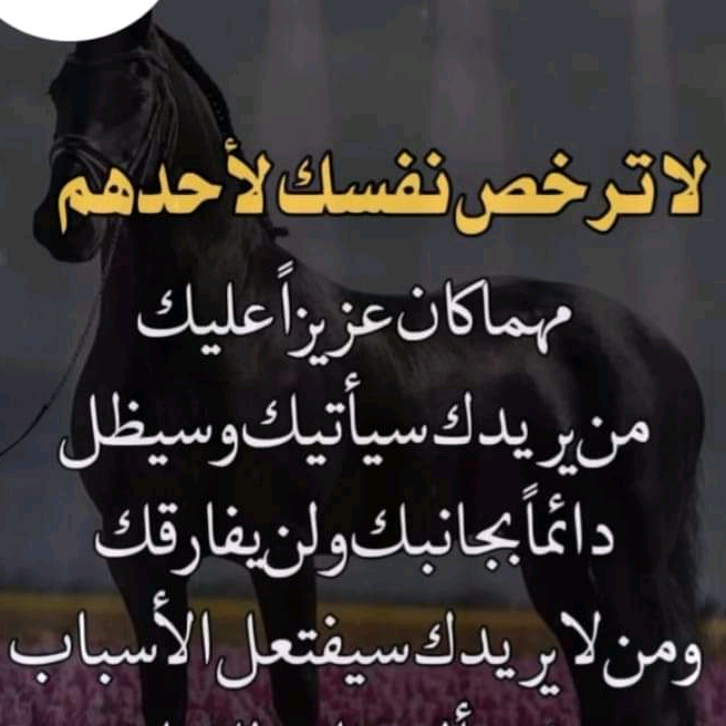 dyeb6002g3gd٩هح dyeb6002g3gd
