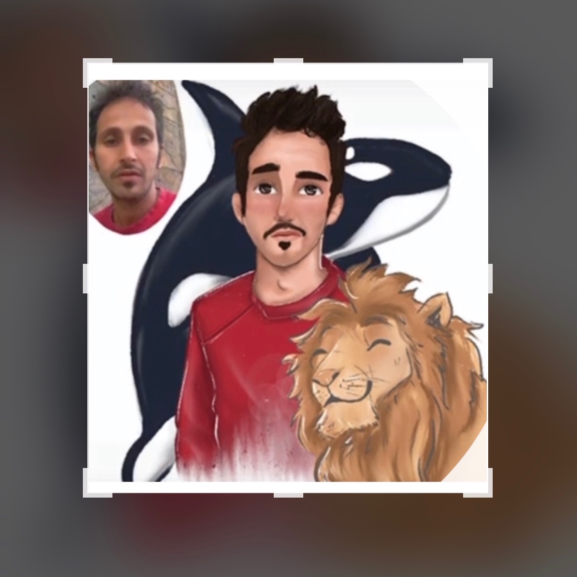 الكبتن الحوت🐒🐯🐺🦉🙊🙉🦍🦓 alhot7896