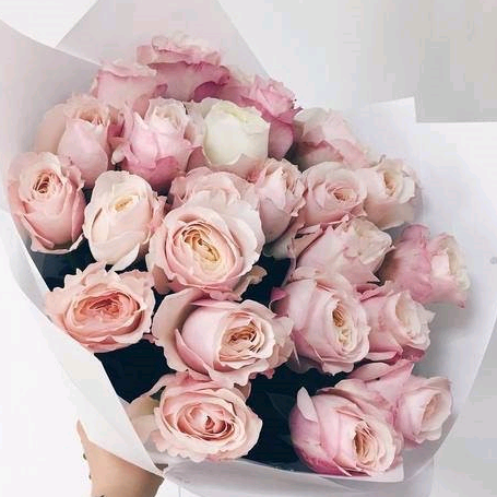 الملكه sroor667