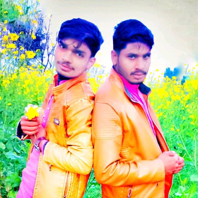 Ali Raza alira206