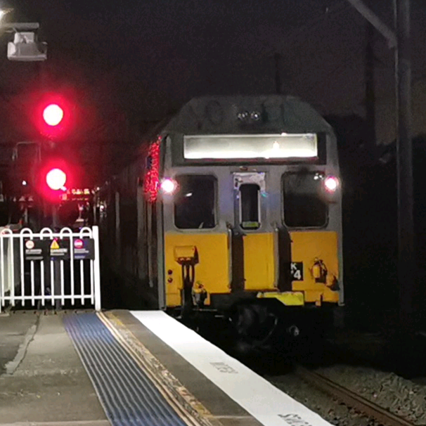 Jonas & Joe NSW Train Vlogs 😂 silverrattlercamshaft199