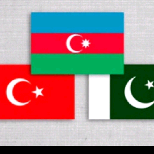 birds azhar.gillaniofficials