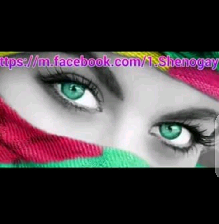 alamziab6 alamziab6
