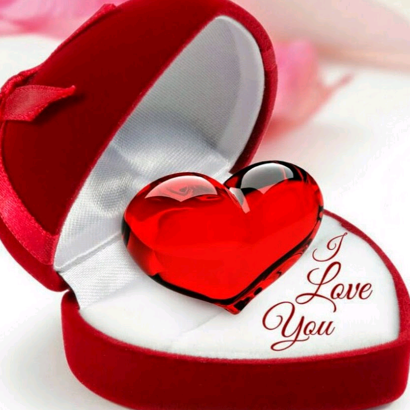 @shahrizoda668 shaxina219