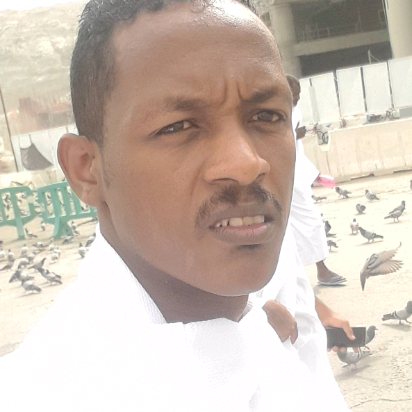 الضوحسن ابودكمة user4792462323