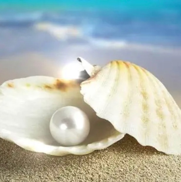 Fenypearl fenypearljewelry