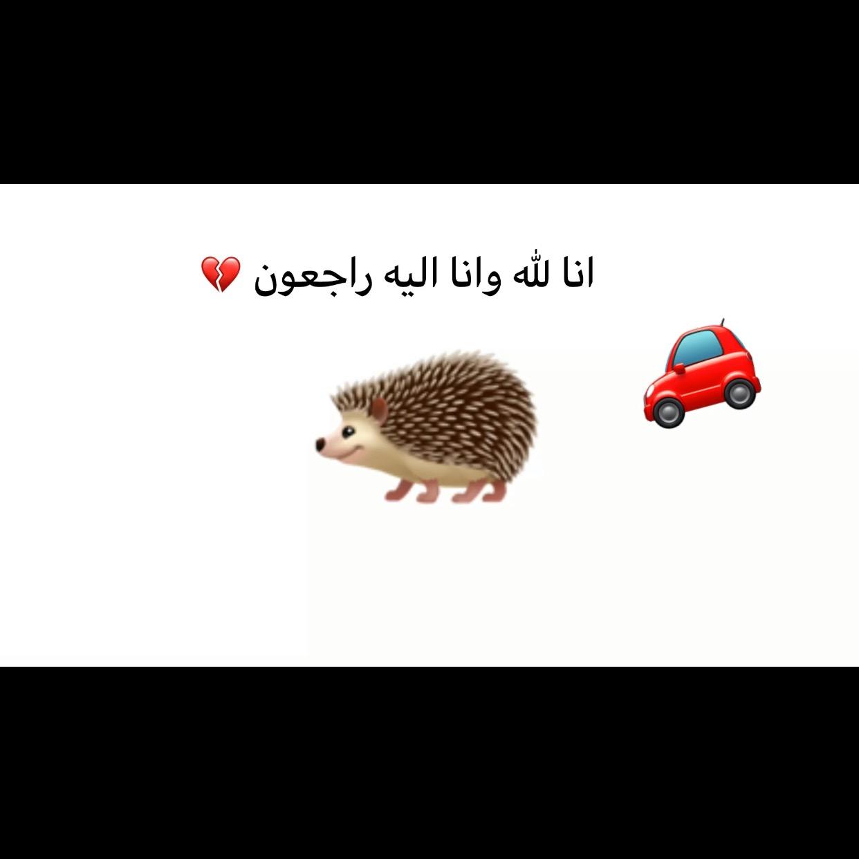 H 🦔😭💔 m_aa24