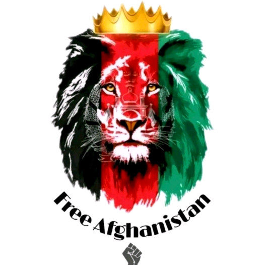 mr_ mojeeb_officialo mojeebullahbrokan
