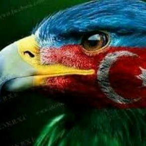 hərbiçi herbci_55