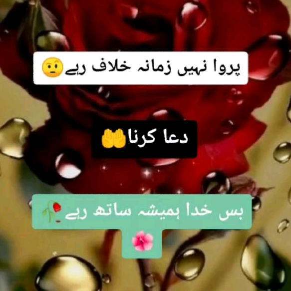 pakistan short video teem ozairjam_007
