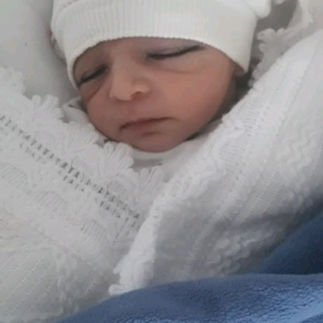ahmadalhaled821 ahmadalhaled821