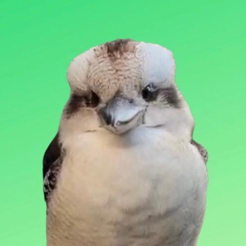 Birds of Oz birdsofoz