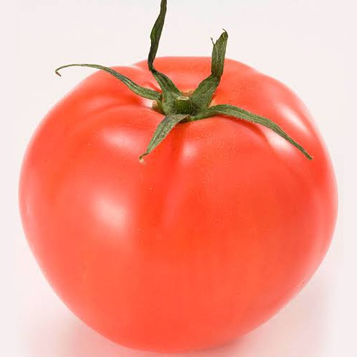 リコピンのピンピコピン lycopene123