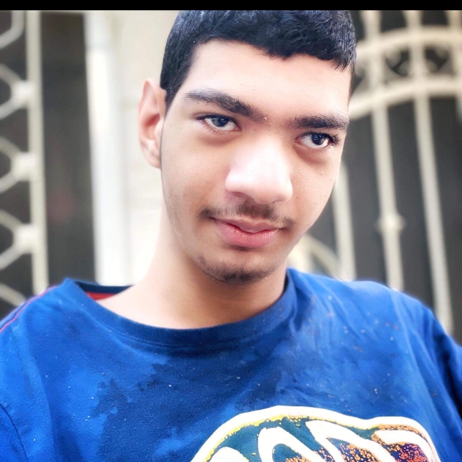 عدي الشمالي adi1662004