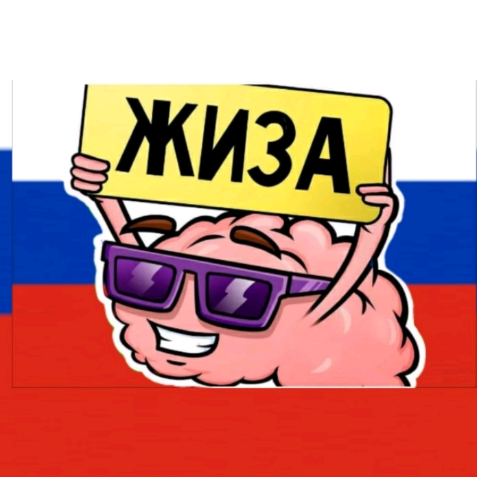 Жизненная жиза zhiza_in_life