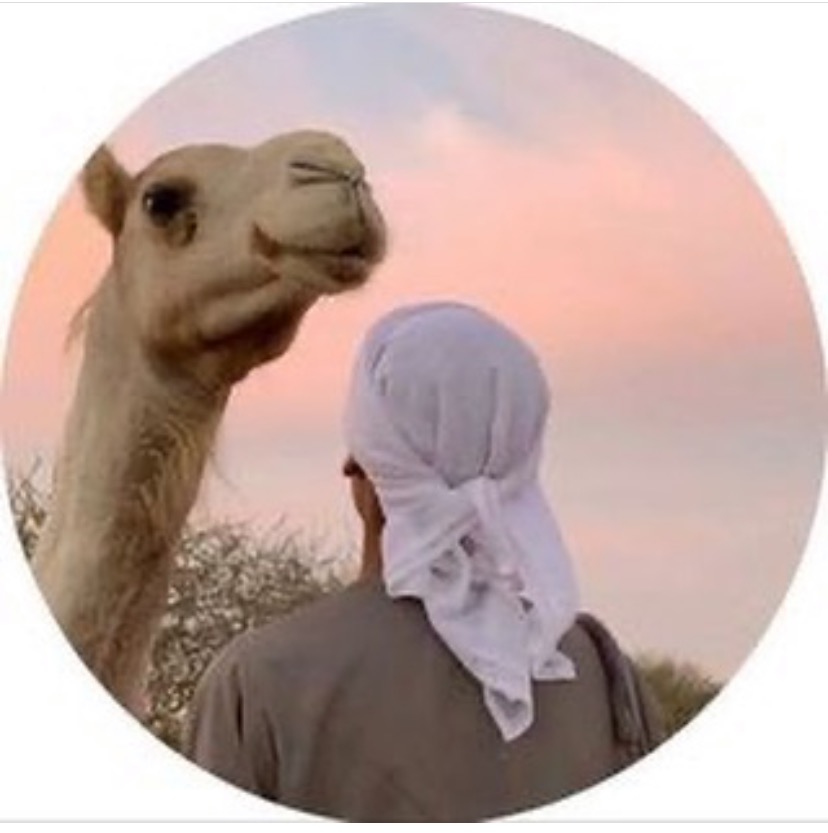 الكتبي) mz_h34