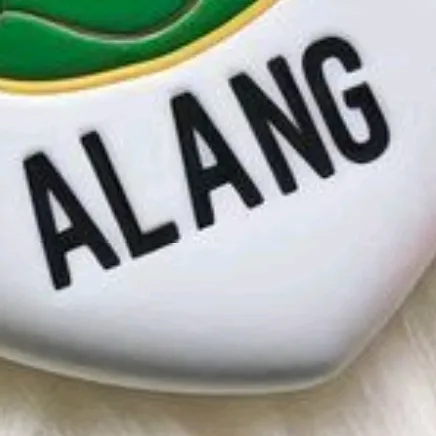 @alang_044