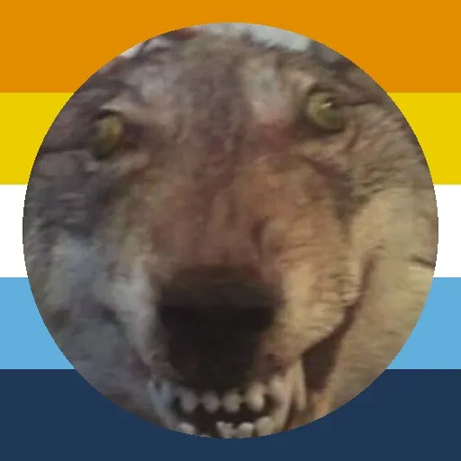 @wolfatthedoor11