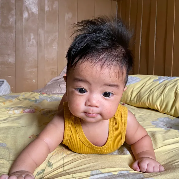 @bindii.seputarbumil