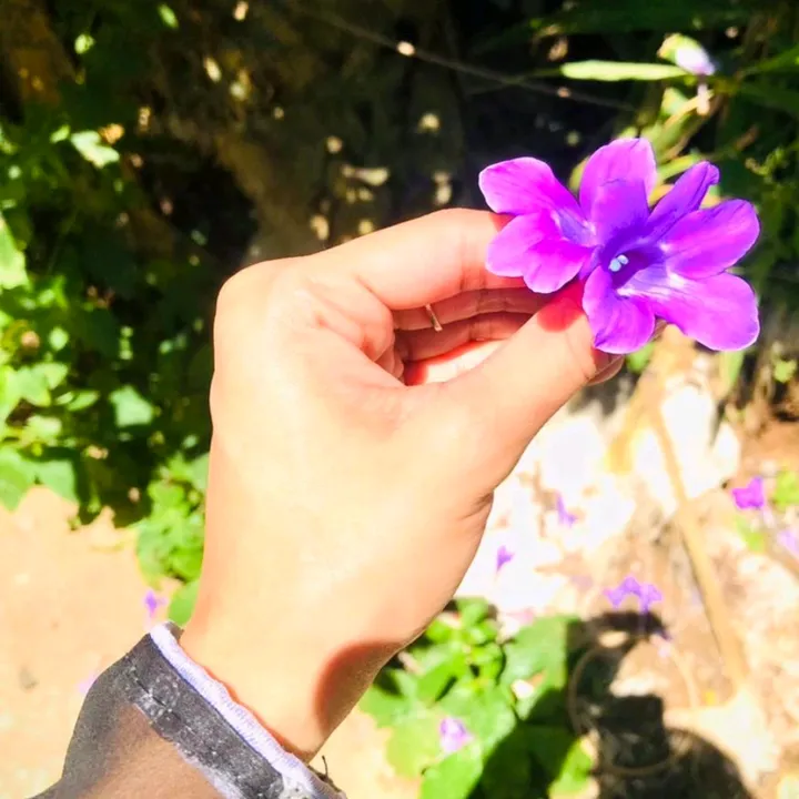 @ichina11