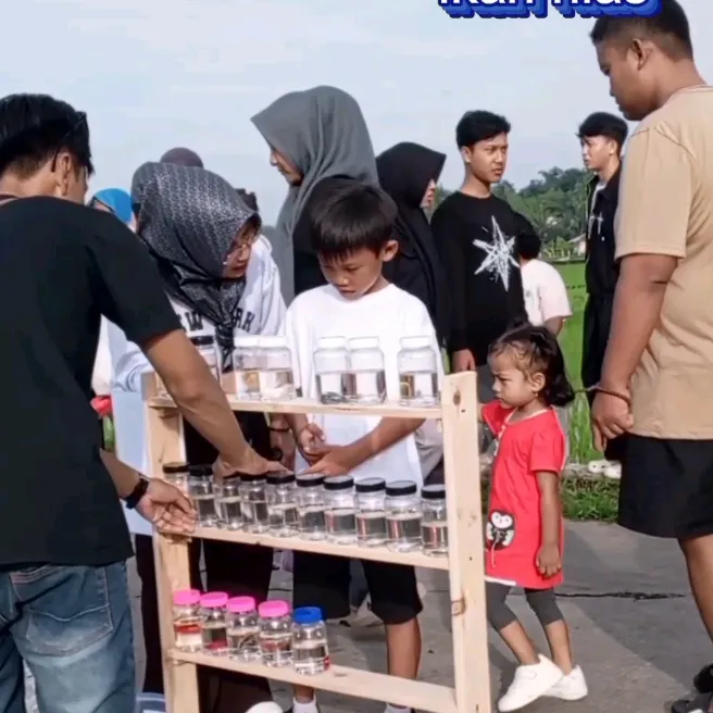 @mega.mendung53