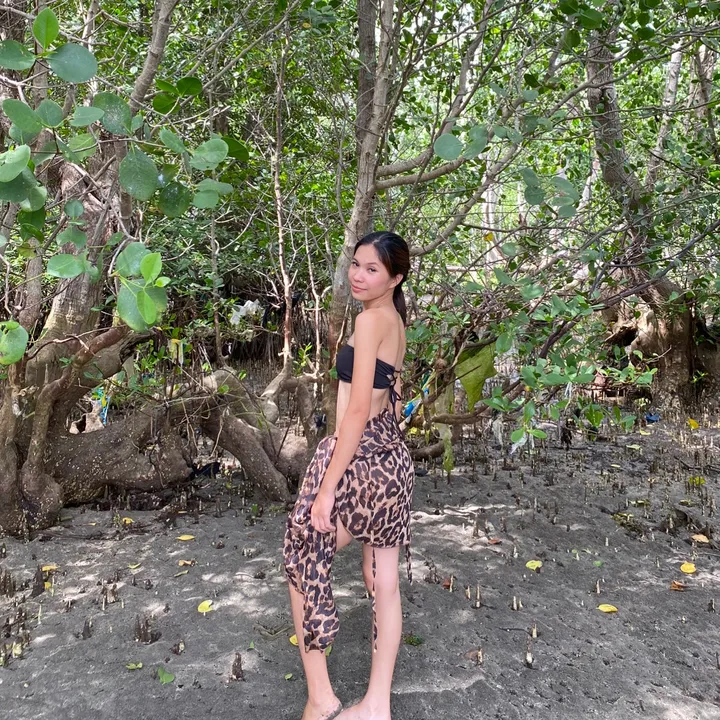 @xx.jiazz