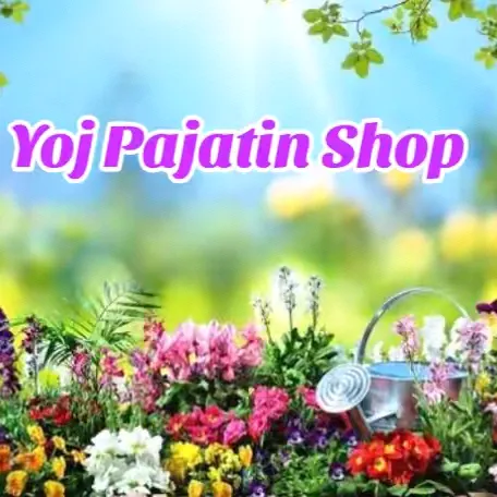 @jhovin29shop