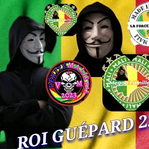 @roiguepard1