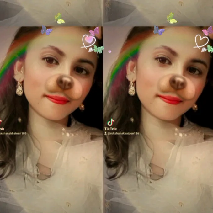 @rukshanakhatun.0
