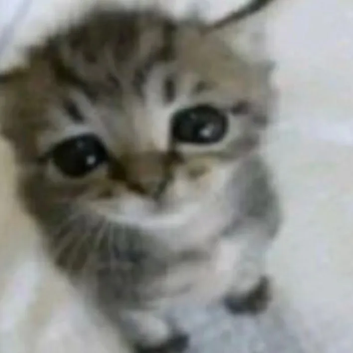 @amydarkhoo