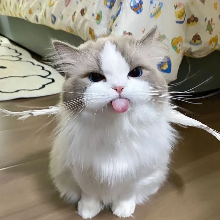 _savana27