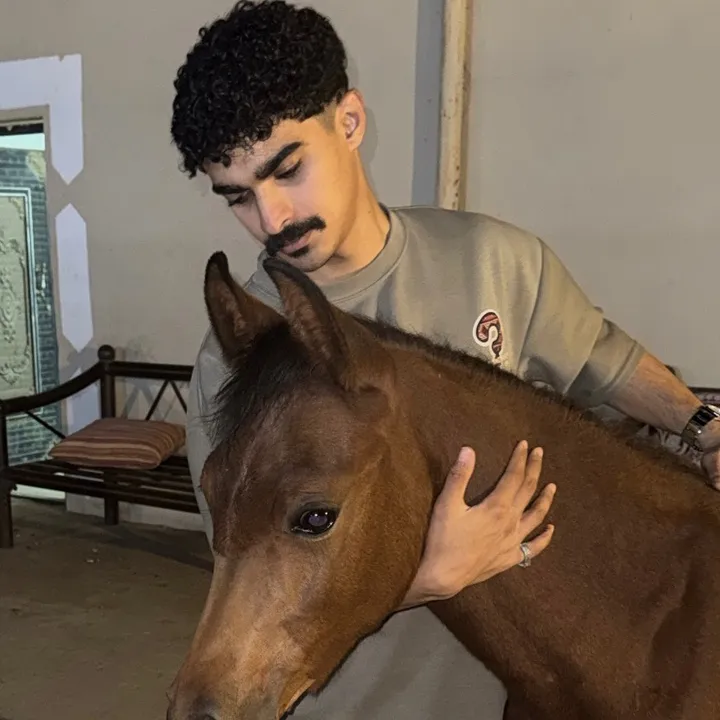 @f7_rr