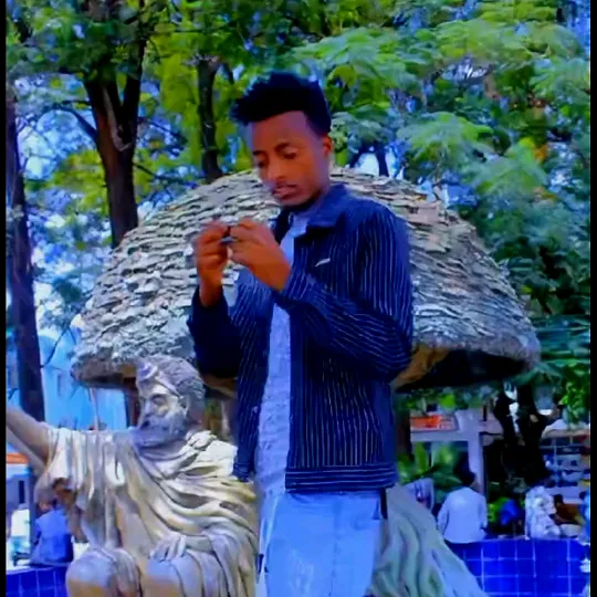 @dachaasabariso1