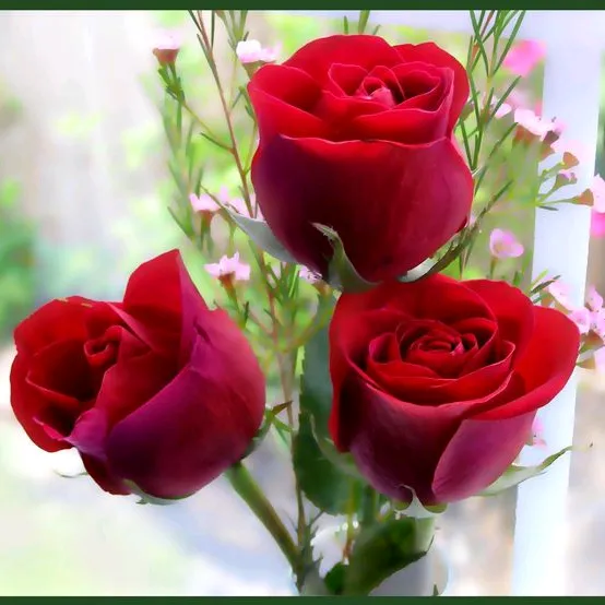 @shwetalata143