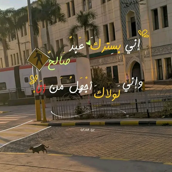 @shrooknasr
