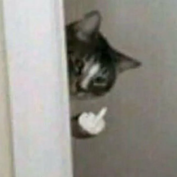 @egirl._.uwu