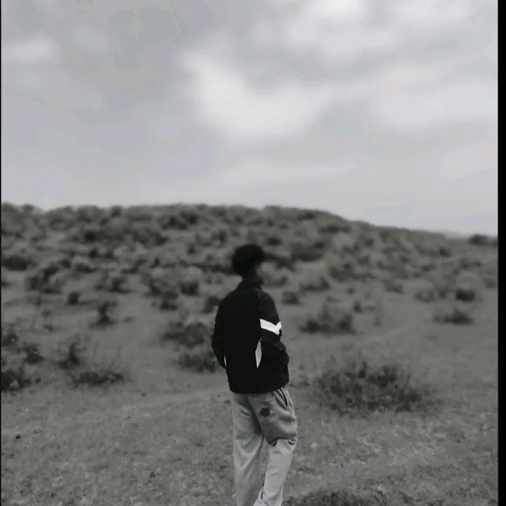 @bipinss7