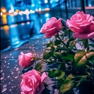 @quiet_songs_world