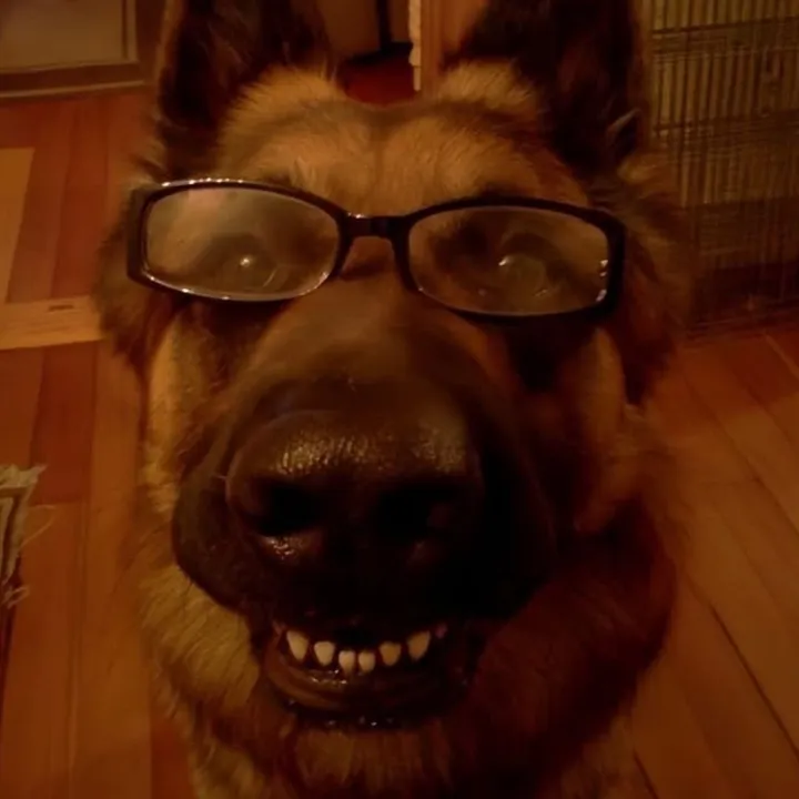 @caffeinemutt_
