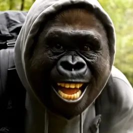 go_rilla_0