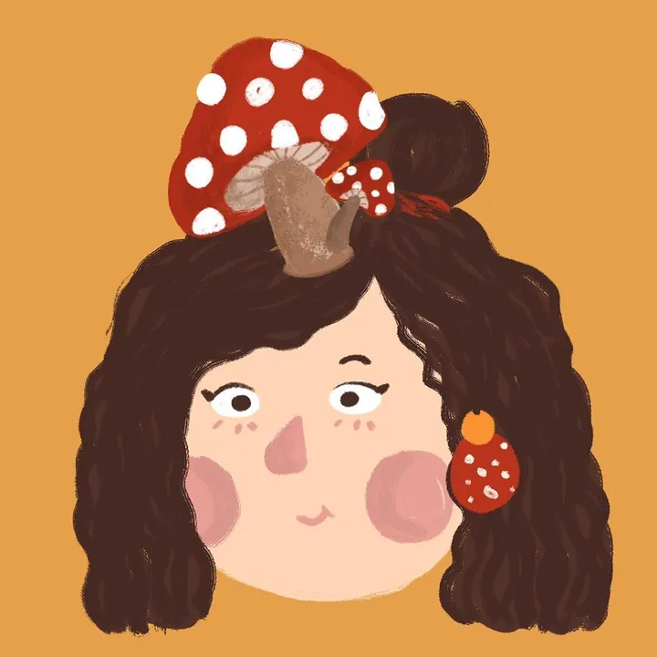cicika.co