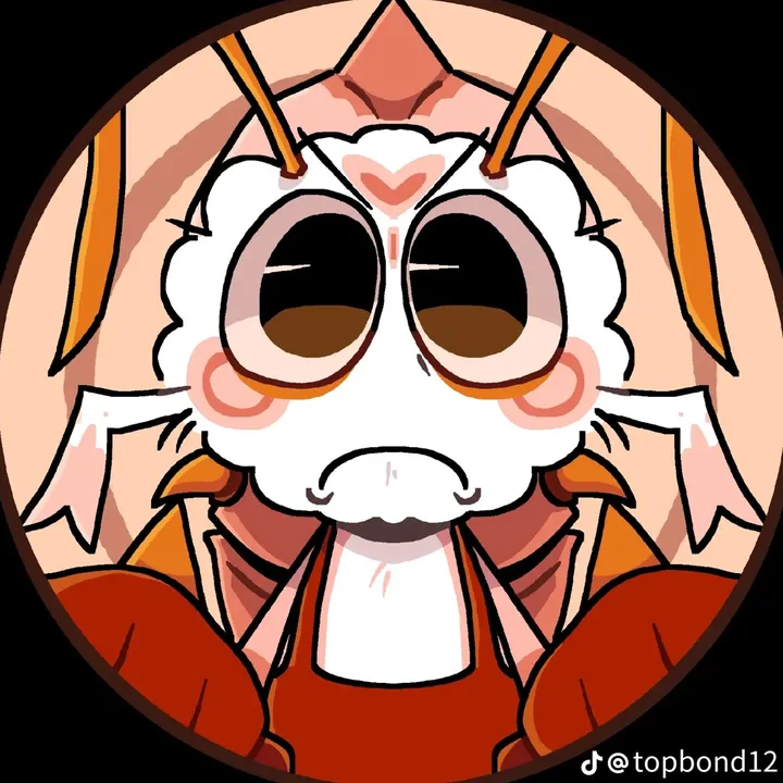 animadordobalinik_anima
