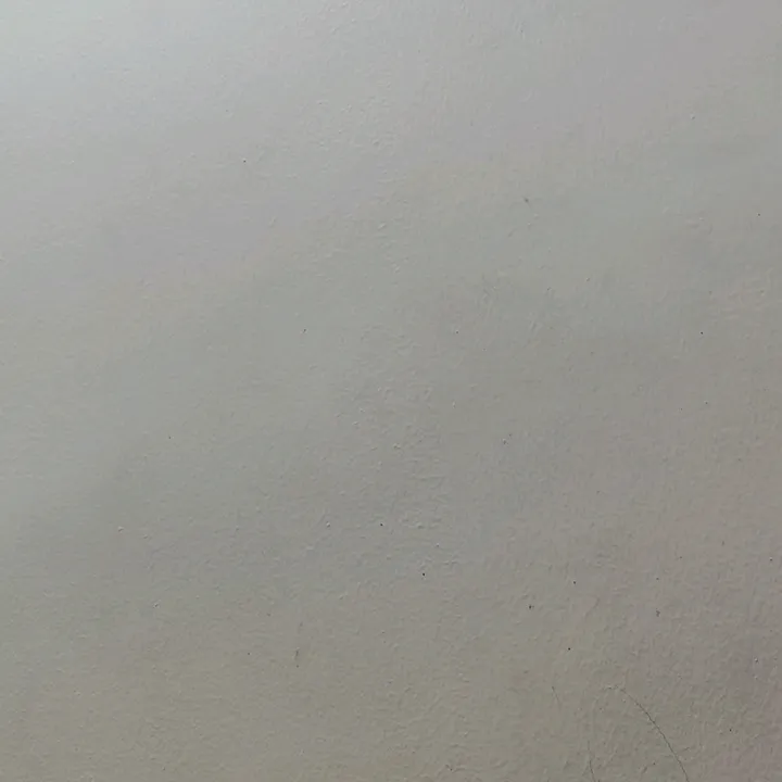 @lovelyking7861