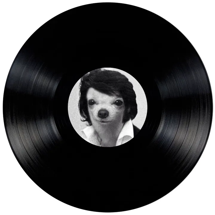 @vinyloop