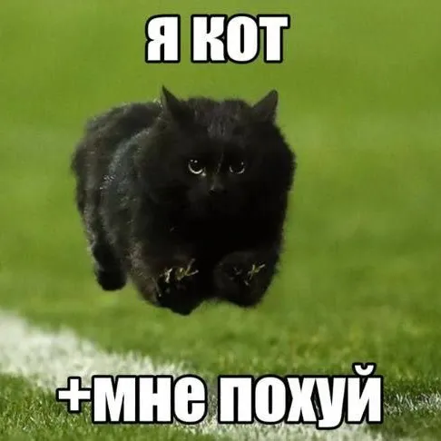 @dhvyx